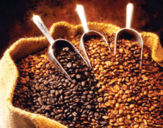 Coffe Supplier seller Coffe Supplier seller